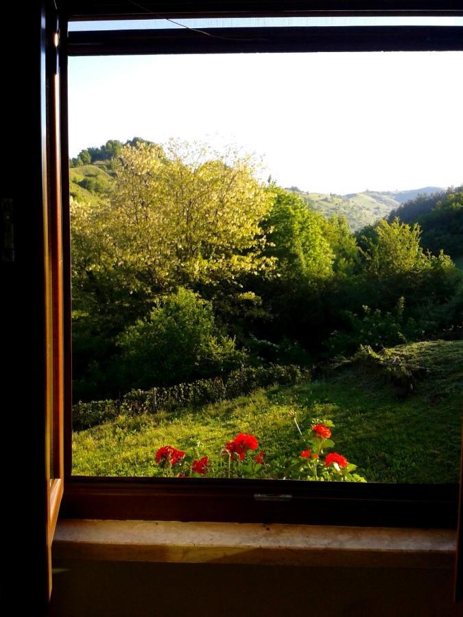Agriturismo Il Casale Pica Posta Buitenkant foto