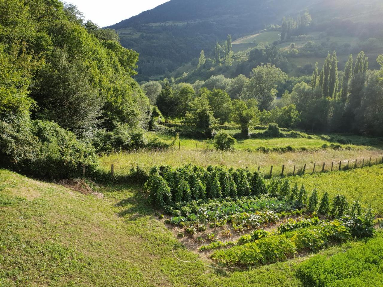 Agriturismo Il Casale Pica Posta Buitenkant foto