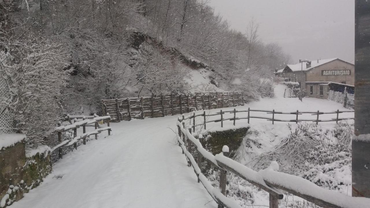 Agriturismo Il Casale Pica Posta Buitenkant foto