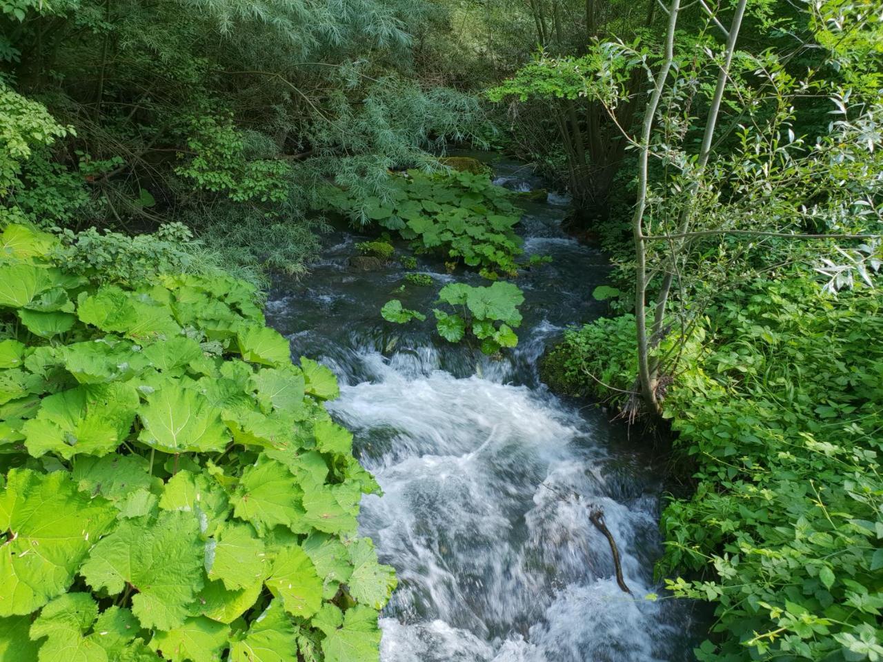 Agriturismo Il Casale Pica Posta Buitenkant foto